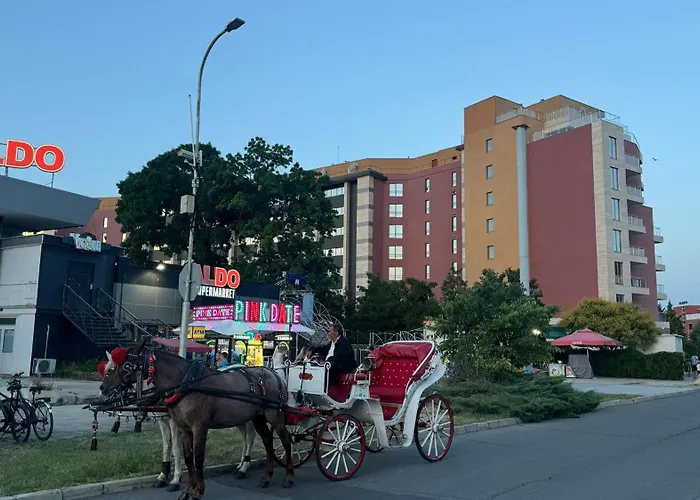 Sunny Family 阳光海滩