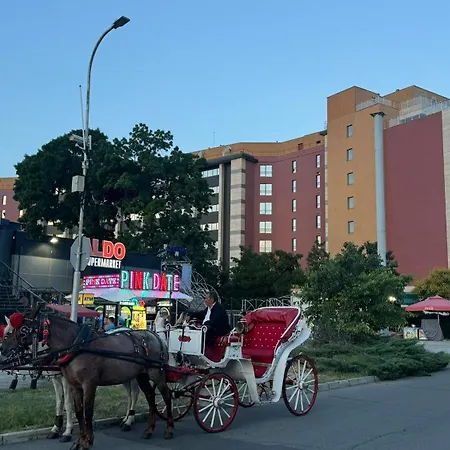 Sunny Family Slantchev Briag